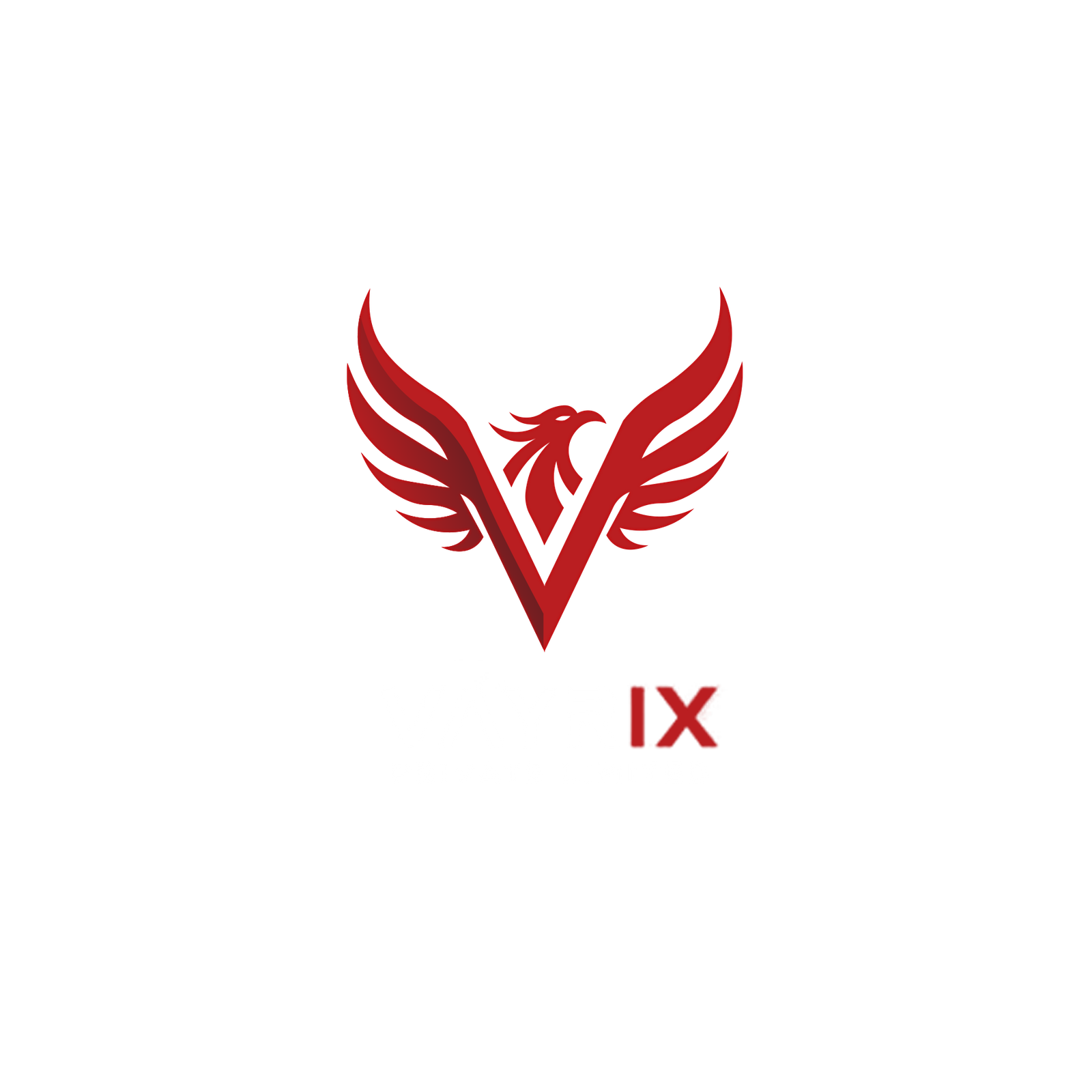 Vayrix Courier Suite